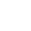 icons8-brick-wall-100